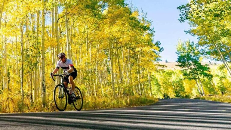 Traverse City: Old Mission Peninsula Bike and Wine Tour - What to Expect Step-by-Step