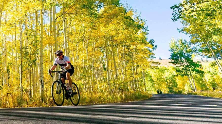 Traverse City: Old Mission Peninsula Bike and Wine Tour - What to Expect Step-by-Step