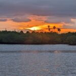Treasure Coast Sunset Eco Tour Stuart FL - Final thoughts