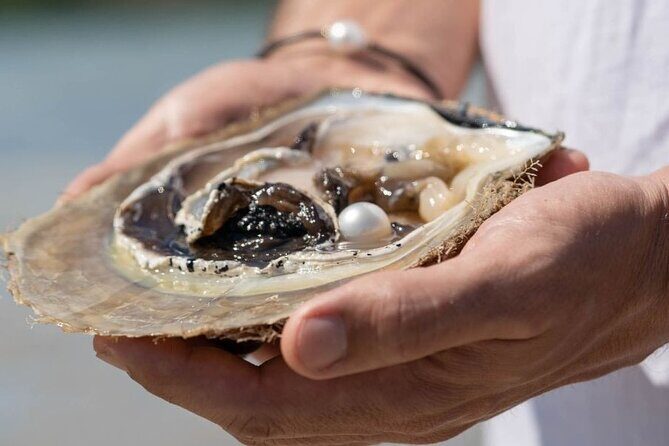Treasures of Broome Tour - How the Experience is Valued