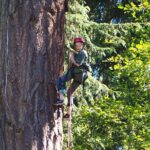 Tree Canopy Climbing on Lopez Island - The View from the Top