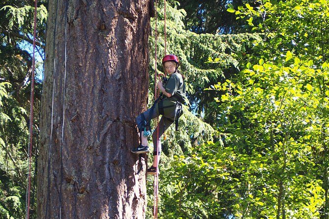 Tree Canopy Climbing on Lopez Island - The View from the Top