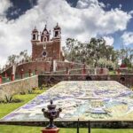 Tree of Life - Meeting Points and Timing