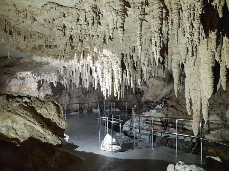 TrioDEAL MilkyWay GLOWWORM Cave, Kiwi Bird & Whangarei Falls - Practical Details and What to Expect