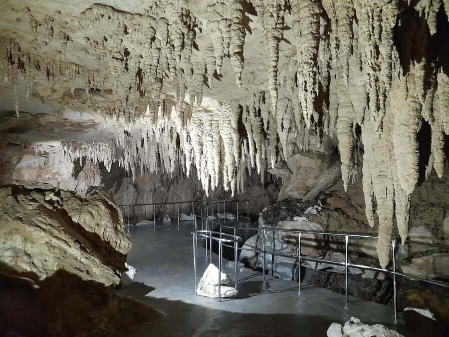 TrioDEAL MilkyWay GLOWWORM Cave, Kiwi Bird & Whangarei Falls - Practical Details and What to Expect