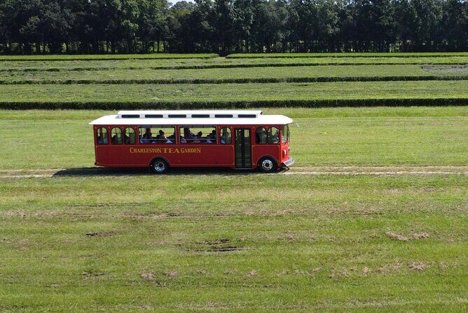 Trolley Tour in Wadmalaw Island of South Carolina - The Value for Money