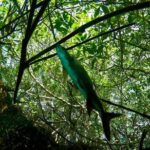 Try dive in beautiful Casa cenote for 2 people - Why This Tour Is Special