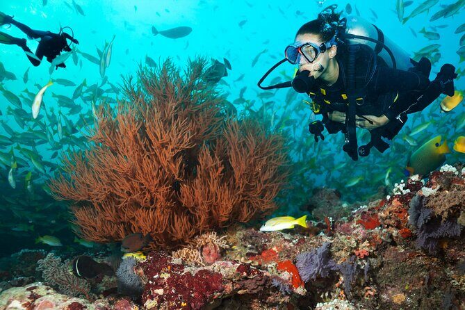 Try Scuba Diving in Kauai From a Boat for Non-Certified Divers - What Sets This Tour Apart?