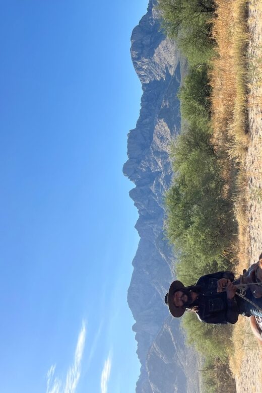 Tucson: Guided Horseback Ride - The Practicalities and What’s Included