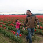 Tulip Festival at Skagit Valley ,La Conner and Deception Pass - What Tour Participants Are Saying