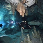 Tulum: 2 Tank Cenote Dive - What to Expect During the Tour