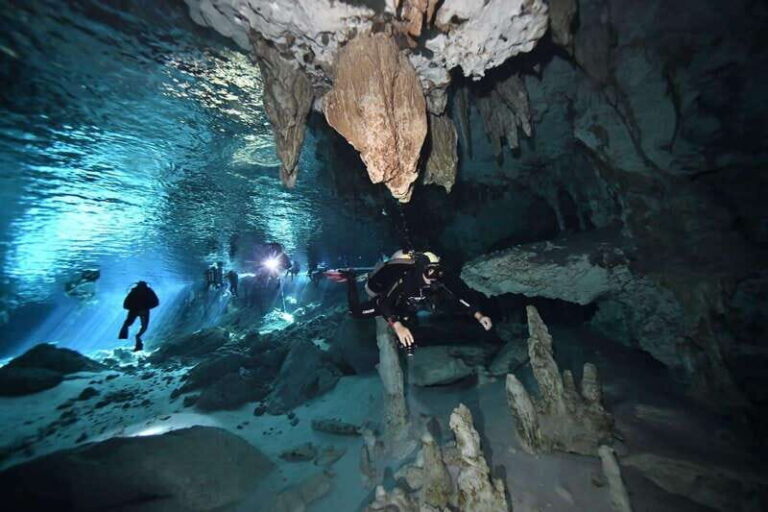 Tulum: 2 Tank Cenote Dive - What to Expect During the Tour
