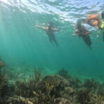 Tulum: 3 hour Snorkel & sailing experience - The Itinerary Breakdown