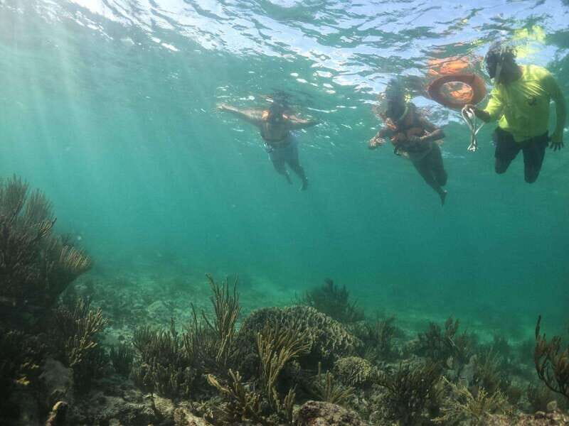 Tulum: 3 hour Snorkel & sailing experience - The Itinerary Breakdown