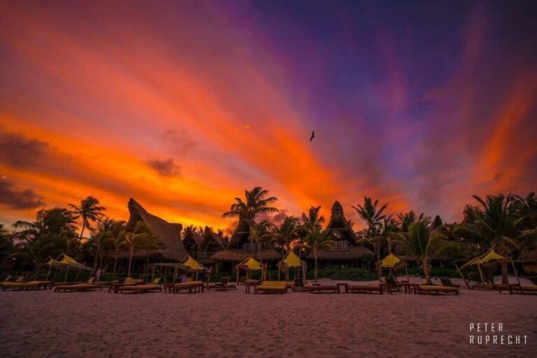 Tulum: Ahau de Noche Dinner with Drinks and Hotel Transfer - Transportation and Logistics