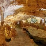 Tulum: Akumal Turtles and Underground Cenote Swim Tour - Swimming with Turtles in Akumal Bay