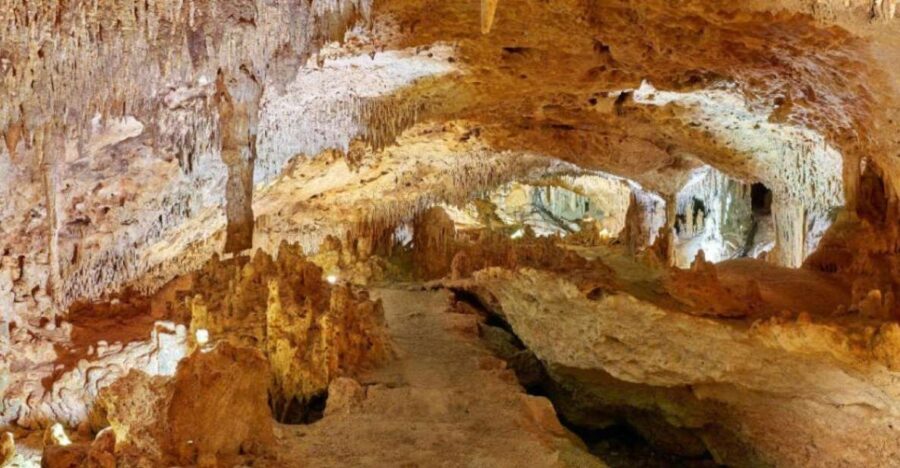 Tulum: Akumal Turtles and Underground Cenote Swim Tour - Swimming with Turtles in Akumal Bay