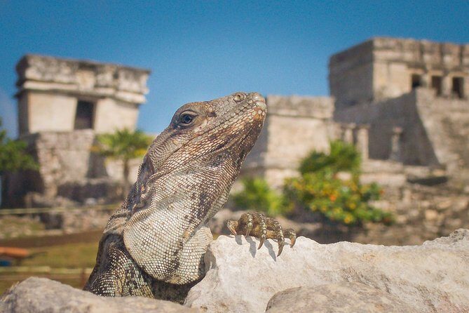Tulum and Extreme Ride from Cancun - The Value of This Tour