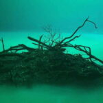 Tulum: Angelita & Carwash Cenotes Dive - Why This Tour Might Be Perfect for You