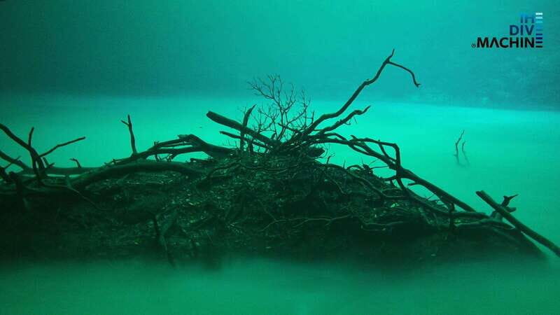 Tulum: Angelita & Carwash Cenotes Dive - Why This Tour Might Be Perfect for You