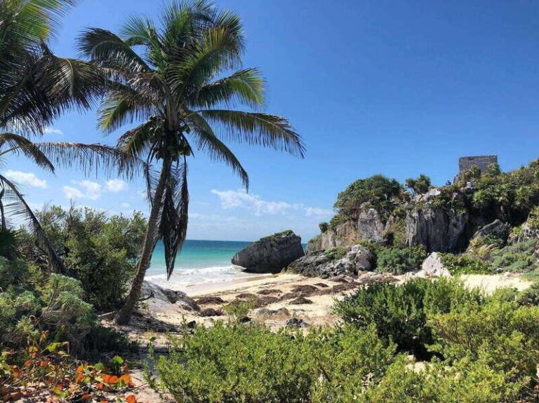 Tulum Archaeological Zone: Cenote, Lunch & Transfer - Authentic Experiences and Traveler Feedback