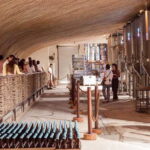 Tulum Brewery Tour and Brews & Bites - Authentic Feedback