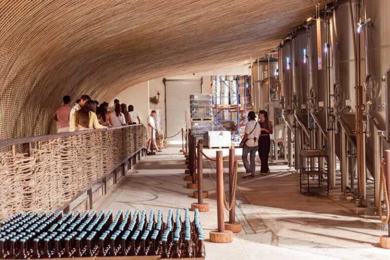 Tulum Brewery Tour and Brews & Bites - Authentic Feedback