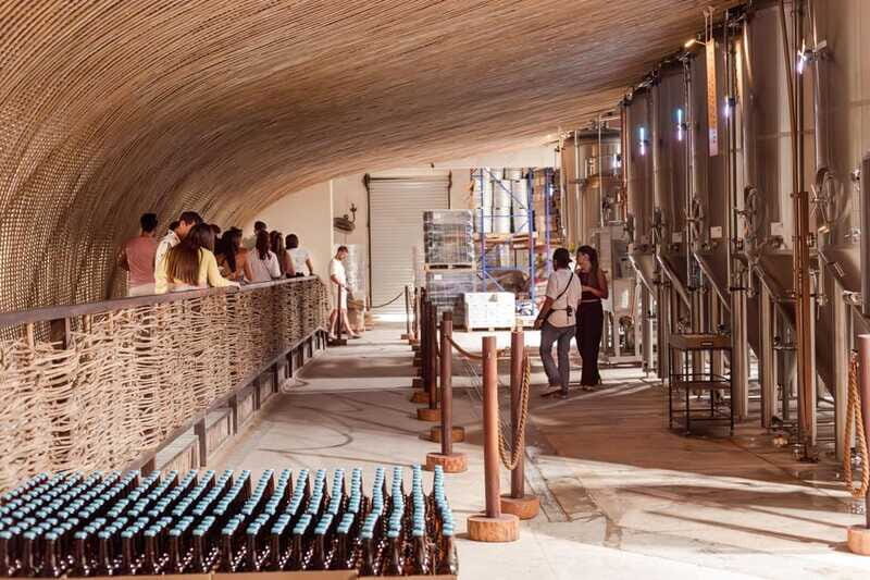 Tulum Brewery Tour and Brews & Bites - Authentic Feedback