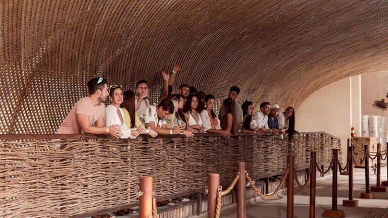 Tulum Brewery Tour & Beer Flight (Tasting Craft Beer) - Who Would Love This Tour?