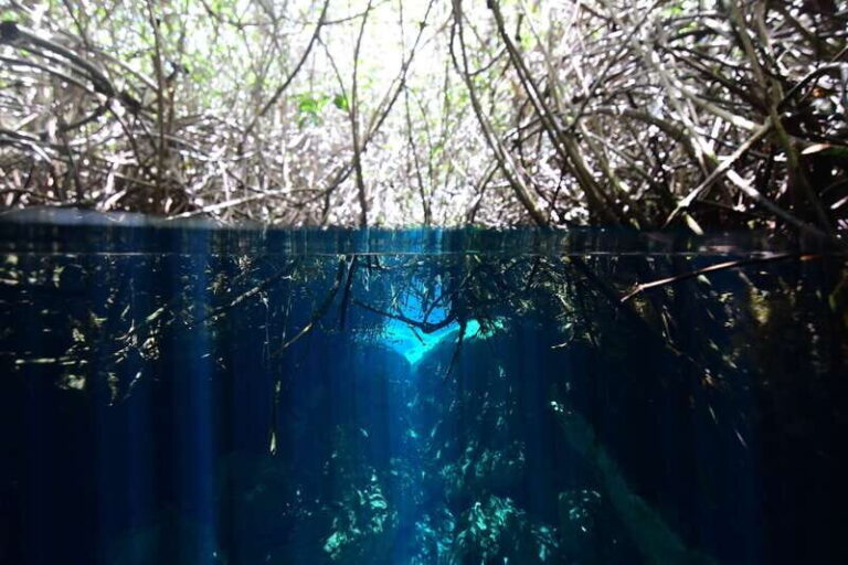 Tulum: Discover Scuba Diving in Cenotes - Whats Included and Whats Not