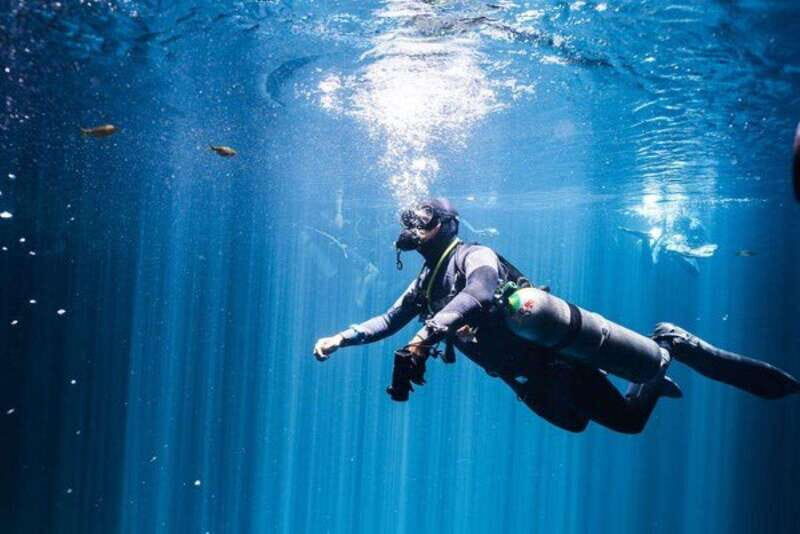 Tulum: Discover the Depths of Dos Ojos Cenote - What Sets This Tour Apart