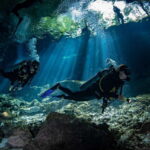 Tulum : Dos Ojos cenote 2 scuba dives (certified divers) - Why You’ll Love This Cenote Experience