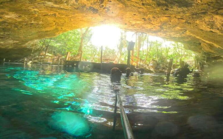 Tulum: Dos Ojos Cenote 2 Scuba Dives with Transfer Option - Who Will Love This Tour?