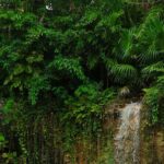 Tulum Essence Art and Photography Tour - The Photography Experience