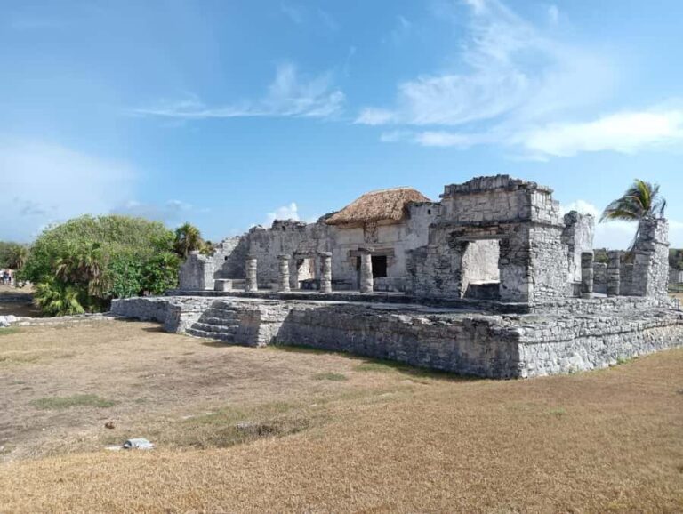 Tulum: Guided Tour of the Mayan Ruins - The Educational Element