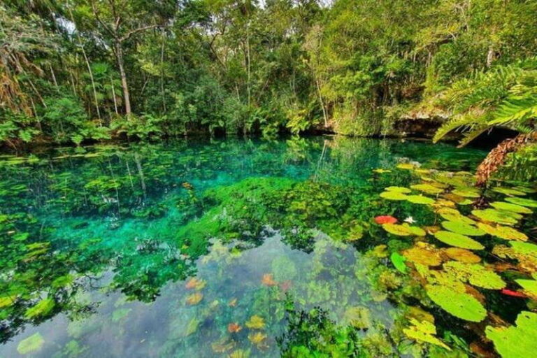 Tulum: Half-Day Adventure Zip line Cenote in Mayan Community - Practical Details & Considerations