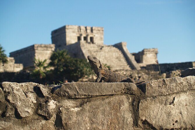 Tulum Highlights Early Easy and Crowd Free - Why This Tour Works Well
