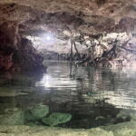 Tulum Mexico; Cave snorkeling and cliff jumping Tour - The Experience Itself: What We Think