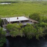 Tulum: Pargo Restaurant Cenote Dining Experience - Who Should Consider This Experience?