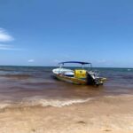 Tulum: Reef Snorkel Tour - The Itinerary in Detail