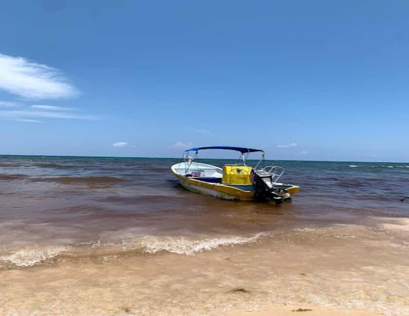 Tulum: Reef Snorkel Tour - The Itinerary in Detail