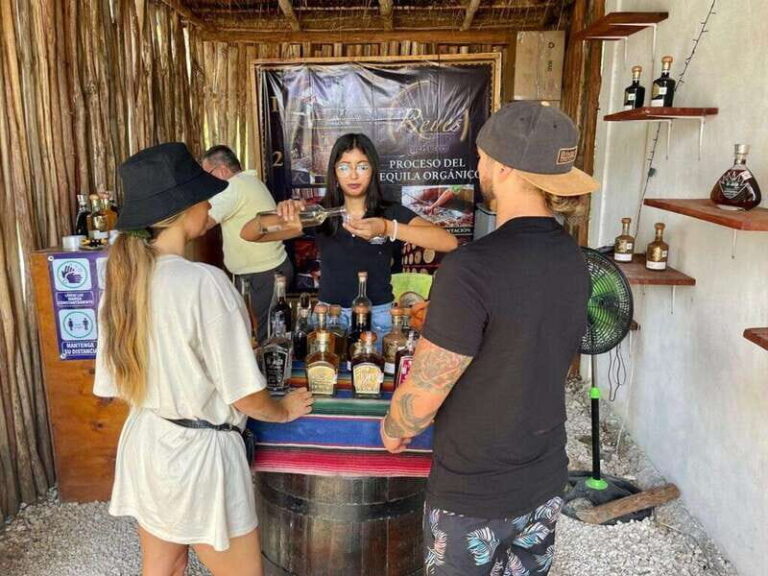 Tulum: Ruins by Boat, Swim with Turtles & Cenote Tour - Who Is This Tour Best For?