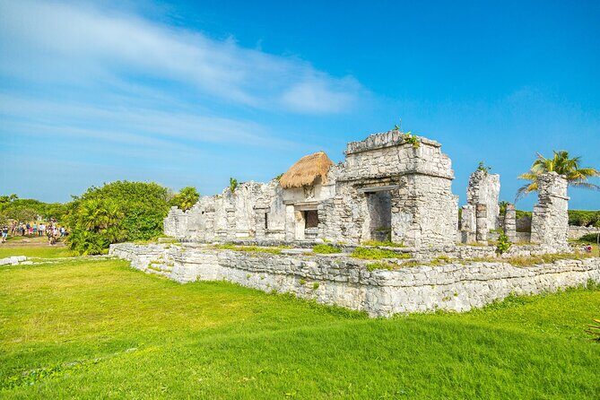 Tulum Ruins Private Tour with Snorkeling Cenote and Sea Turtles - Analyzing the Value