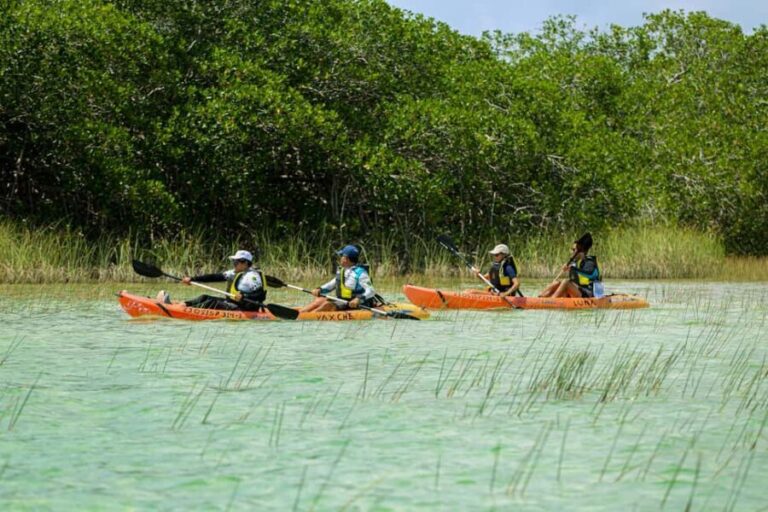 Tulum: Sian Ka'an Biosphere Reserve Kayak Tour - The Itinerary Breakdown