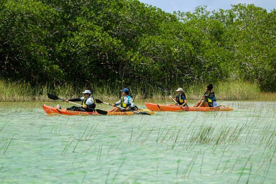 Tulum: Sian Ka'an Biosphere Reserve Kayak Tour - The Itinerary Breakdown
