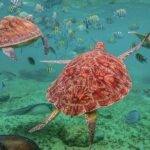 Tulum, Snorkeling with Sea Turtles, Cenote and Beachside Lunch - Who Should Consider This Tour?