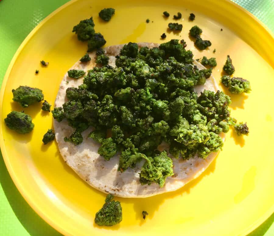 Tulum Taco Tour - Real Traveler Insights & Highlights