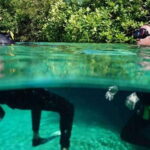 Tulum: Wonders of the Underwater World Discover Scuba Diving - The Itinerary: What You Can Expect