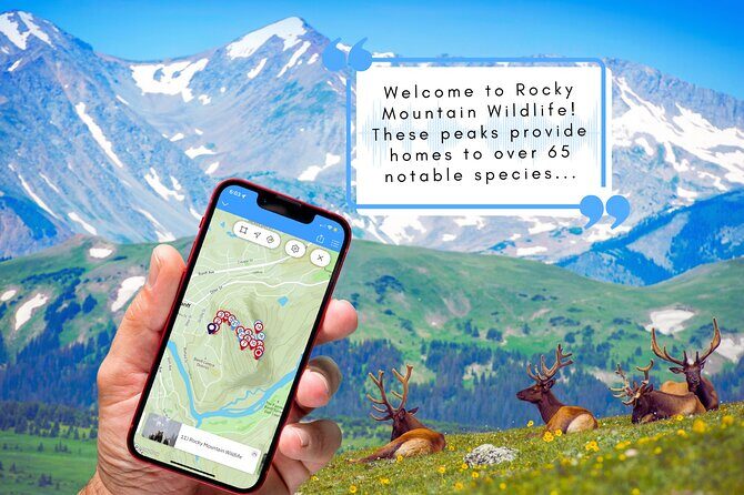 Tunnel Mountain Trail: a Smartphone Audio Nature Tour - Accessibility & Practical Considerations