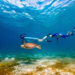 Turtle Canyon Snorkel Adventure - Small Group 6 Passengers - Whats Included and Why It Matters